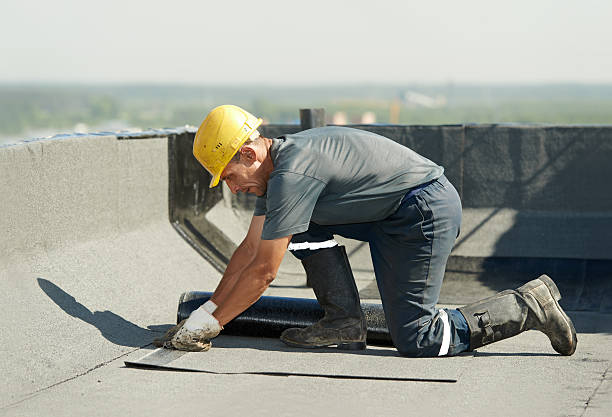 Best Wall Insulation Contractor  in Clyde, NC