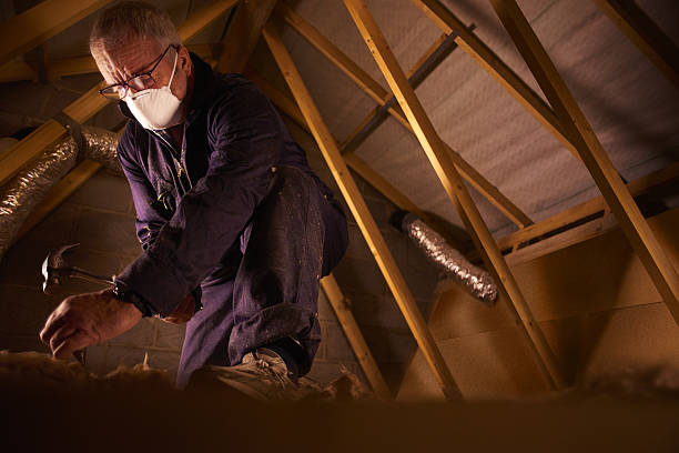Best Insulation Repair Services  in Clyde, NC