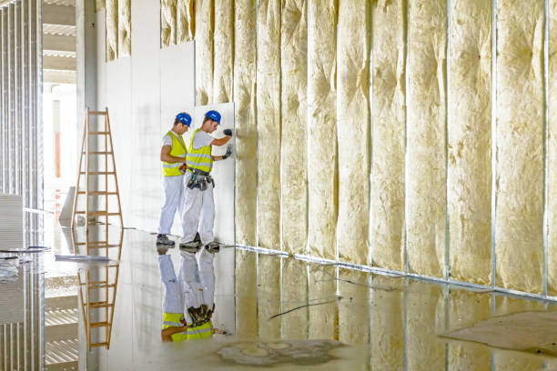 Best Local Insulation Services  in Clyde, NC